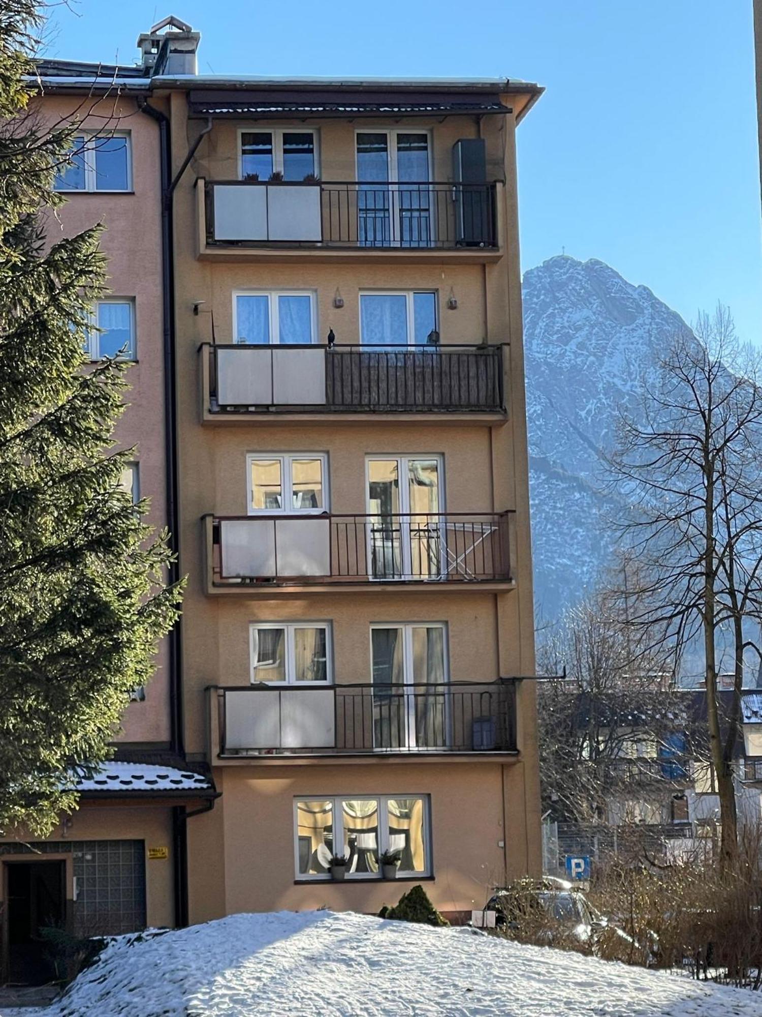 Apartament Verde ザコパネ エクステリア 写真